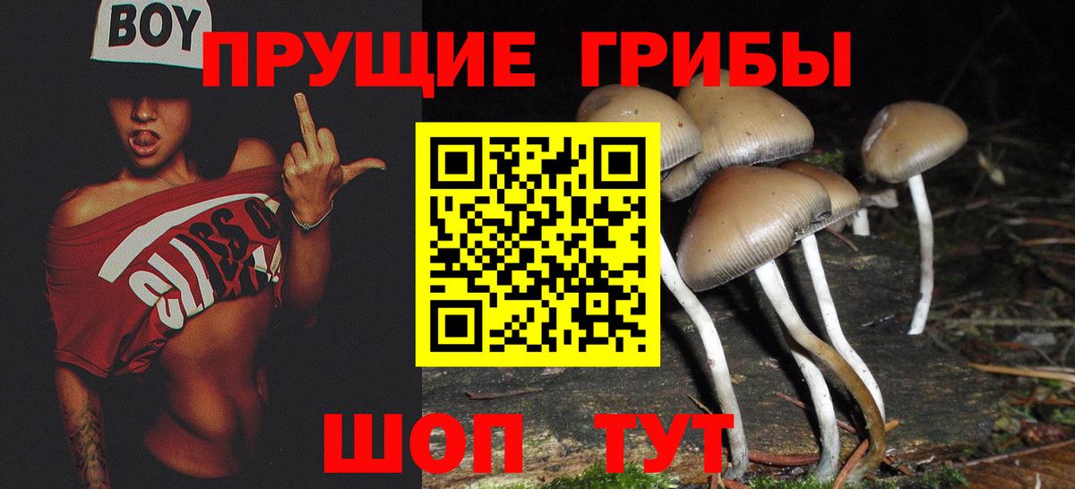 Галлюциногенные грибы GOLDEN TEACHER Бугуруслан