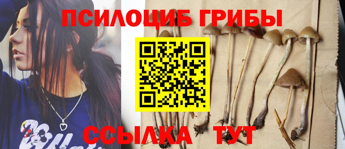 Псилоцибиновые грибы Psilocybe  Вход с VPN  Бугуруслан 